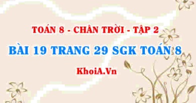 Bài 19 trang 29 Toán 8 Chân trời sáng tạo Tập 2